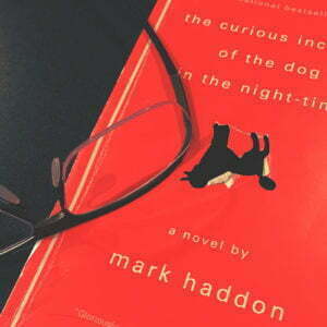 Book Review: The Curious Incident of the Dog in the Night-Time