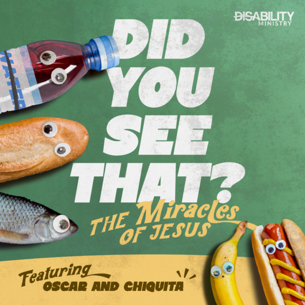 Did You See That? Adult Disability Ministry Curriculum