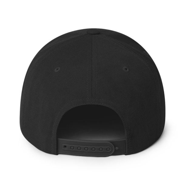 Classic Snapback Black Back 6655f4ebab849.jpg