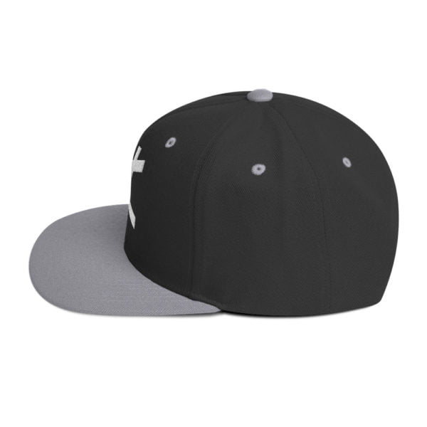 Classic Snapback Black Silver Left Side 6655f4ebb1948.jpg