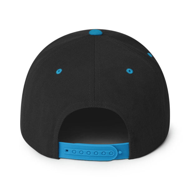 Classic Snapback Black Teal Back 6655f4ebaf4c4.jpg