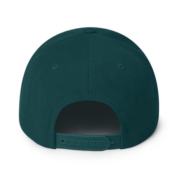 Classic Snapback Spruce Back 6655f4ebbc9c7.jpg