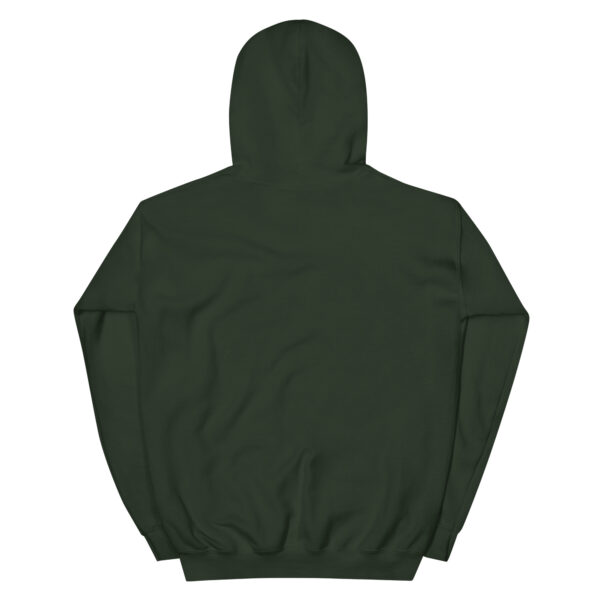 Unisex Heavy Blend Hoodie Forest Green Back 67b8e9a5990ae.jpg