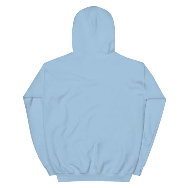 Unisex Heavy Blend Hoodie Light Blue Back 67b8e9a6034d1.jpg