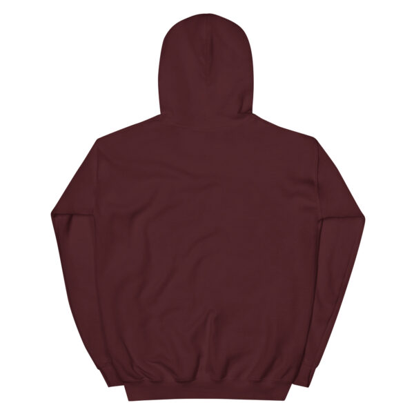 Unisex Heavy Blend Hoodie Maroon Back 67ae32c852c16.jpg