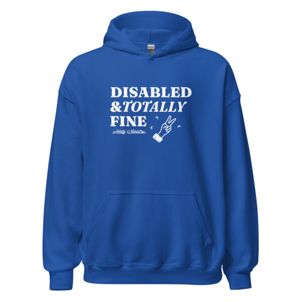 Unisex Heavy Blend Hoodie Royal Front 67bcfd11f20cb.jpg